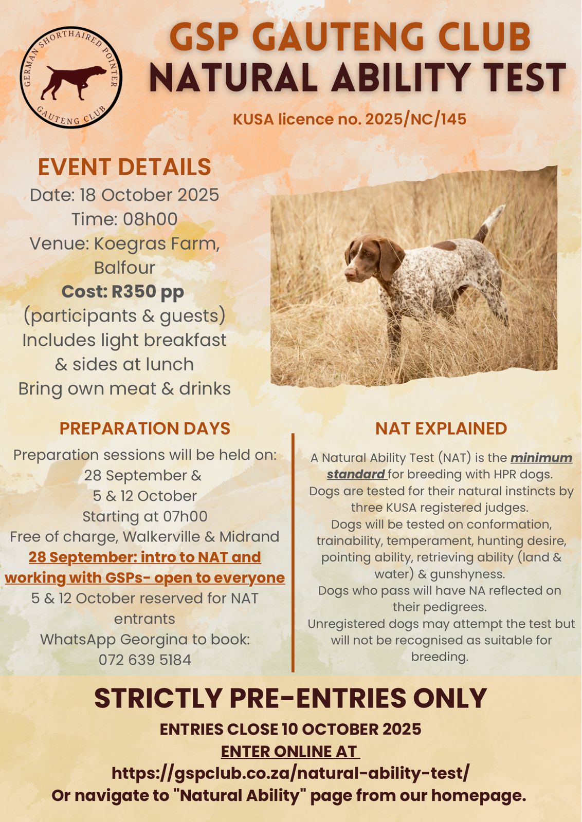 Flyer for Natural Ability